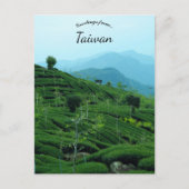 Tea Plantation in Taiwan ポストカード (正面)