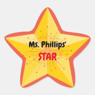 Teacher's Starスタンプ 星シール