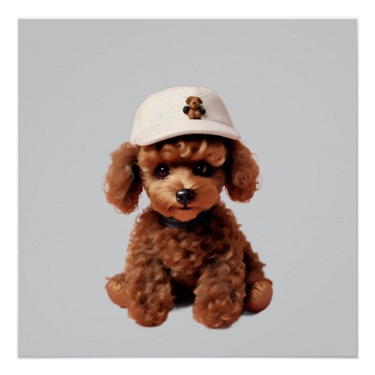 Teacup Poodle with Hat ポスター (正面)