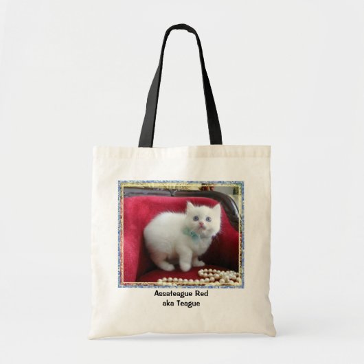 TEAGUEのトートバック トートバッグ (正面)