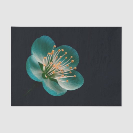 Teal Cyan Gradient Moody Botanical Sakura 薄葉紙 (正面)