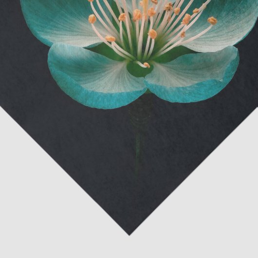 Teal Cyan Gradient Moody Botanical Sakura 薄葉紙 (詳細)