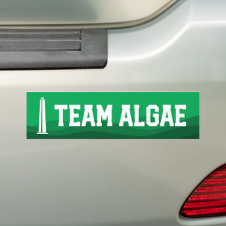 Team Algae リフレクティングプール面白い反トランプ バンパーステッカー