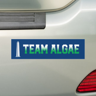 Team Algae リフレクティングプール面白い抗トランプ バンパーステッカー