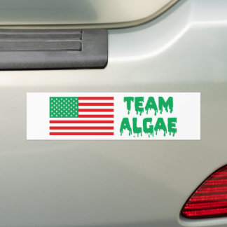 Team Algae リフレクティングプール面白い抗トランプ バンパーステッカー