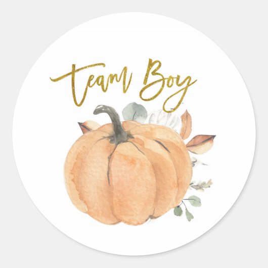 Team Boy Pumpkin Genderゲームラベルの表示 ラウンドシール (正面)