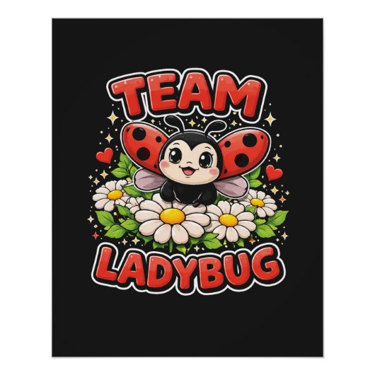 Team Ladybug ポスター (正面)