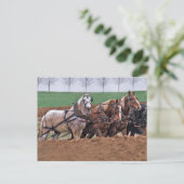 Team of Horses(2) – ポストカード (スタンド正面)