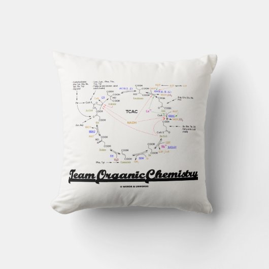 Team Organic Chemistry Krebs Cycle TCAC クッション (正面)