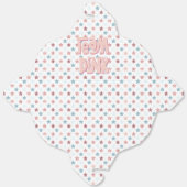 Team Pink/Girl フェイバーボックス (見開き)