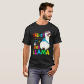 Team Pre K Teacher Rainbow No Prob Llama 100th Day Tシャツ (正面フル)