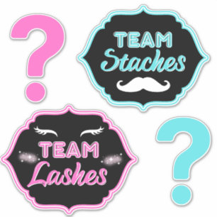 TEAM Staches or Lashes Pink ブルージェンダーリビール シール