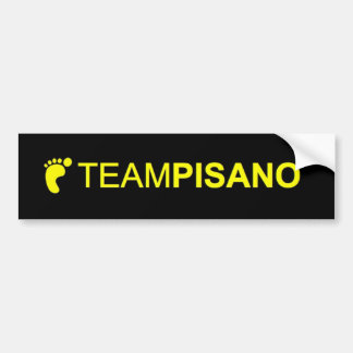 TeamPisanoのバンパーステッカー バンパーステッカー