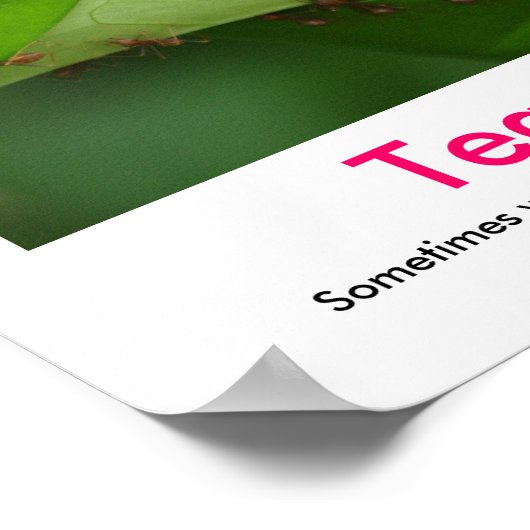 TEAMWORK民主化ポスター ポスター (角)