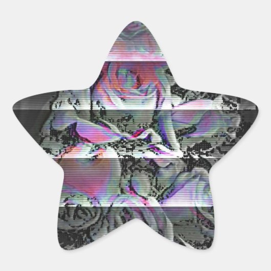 Techno Bouquet 星シール (正面)