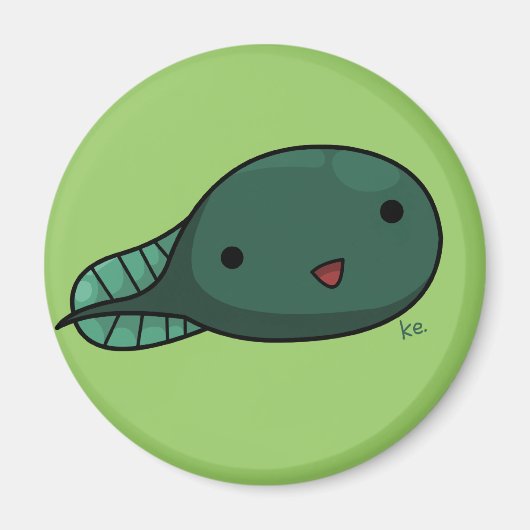 Tedマグネット マグネット (正面)