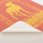 Ted Lasso | AFC Richmond Gold Arched Logo シェルパブランケット (3/4)