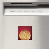 Tedavnetのブローチとして使用される可能性があるディスク マグネット (インサイチュ (食洗機))