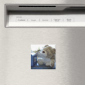 Teddy Bearが手紙2を郵送 マグネット (インサイチュ (食洗機))