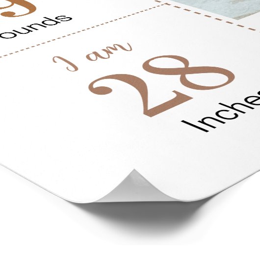 Teddy Bear Balloon Beary First Year Milestone ポスター (角)