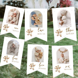 Teddy Bear First Birthday Photo Party  バンティングフラッグ