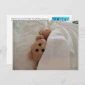 Teddy Bearsがポストカードの写真で眠る ポストカード (正面/裏面)