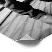 Teddy Rooseveltとクルー、1900年代初期 ポスター (角)