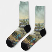 TEE内戦の戦場の保全 ソックス (左)