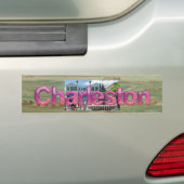 TEE Charleston バンパーステッカー (車上)