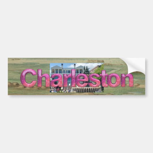 TEE Charleston バンパーステッカー (正面)