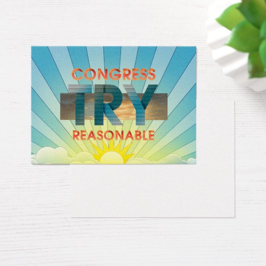 TEE Congress, Try Reasonable (デスク)