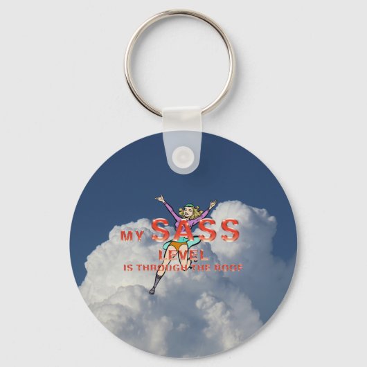 TEE My Sass Level キーホルダー (正面)