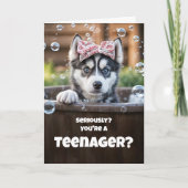 Teen Teenager Happy Birthday Cute Husky Funny カード (正面)