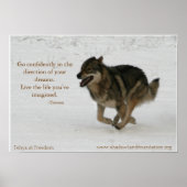 Tehya at Freedom Wolflectionポスター ポスター (正面)