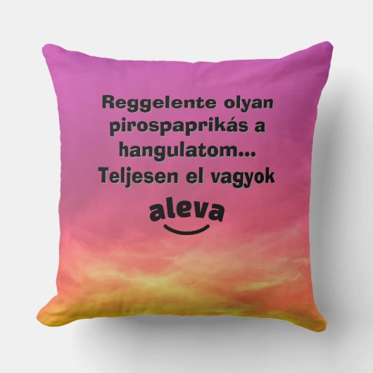 Teljesen el vagyok aleva feliratú párna クッション (正面)