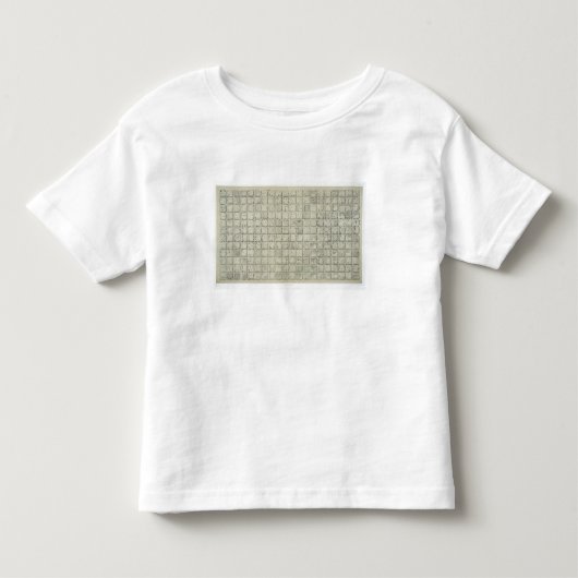 Temからの表意的な執筆の大きいプラク トドラーTシャツ (正面)