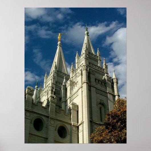 Temple ポスター (正面)