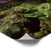 Temple Of The Coral Reef – ポスター (角)