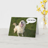 Templeteを話している犬 カード (黄色い花)