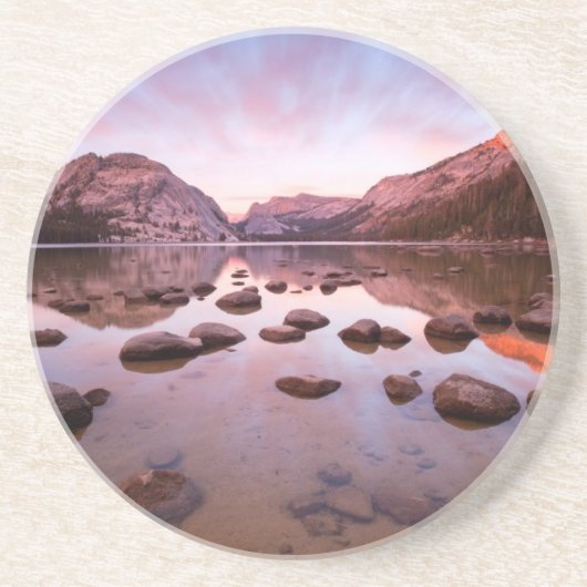 Tenaya湖 コースター (正面)