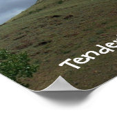 Tenderfoot Hill ポスター (角)