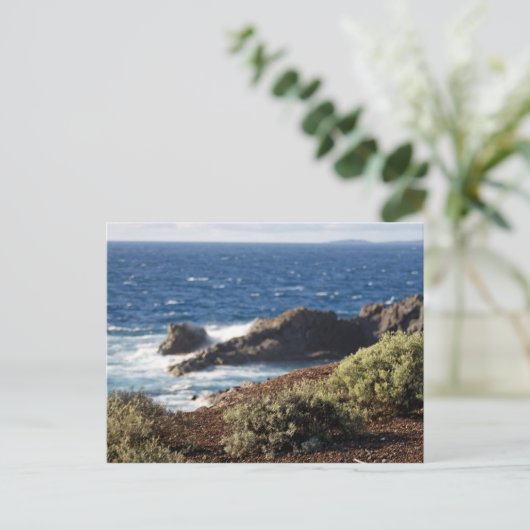 Teneriffa ポストカード (スタンド正面)