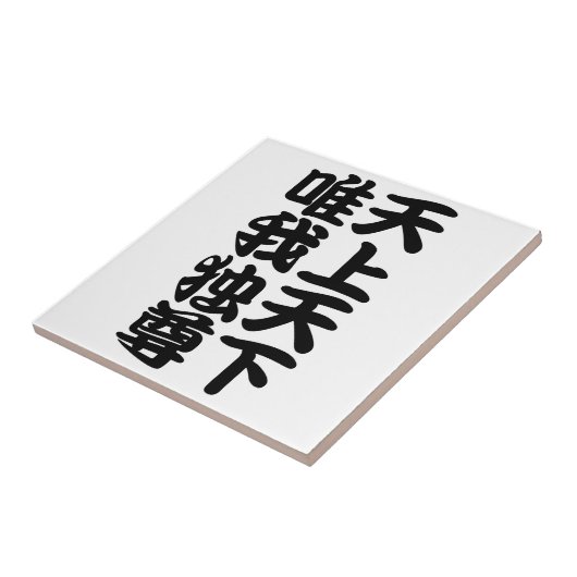 tenjotengeyuigadokuson タイル (側面)