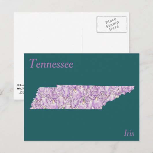 Tennessee State Flower Collage Map ポストカード (正面/裏面)