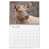 Tennessee Wildlife 2026 - 12 month calendar カレンダー (1月 2026)