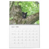 Tennessee Wildlife 2026 - 12 month calendar カレンダー (3月 2026)