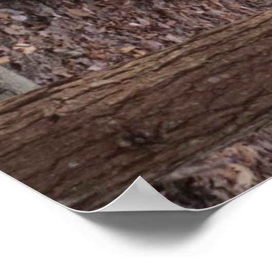 Tent Up Poster ポスター (角)