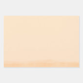 Tequila Wrapping Paper Flat Sheet Set of 3 ラッピングペーパーシート (正面2)