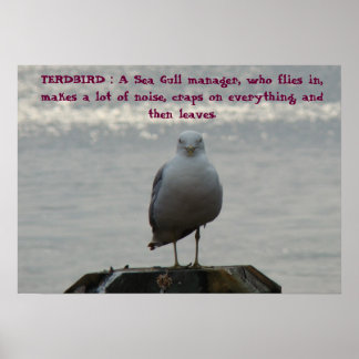 TERDBIRD : A Sea Gull Manager, who fl.. ポスター