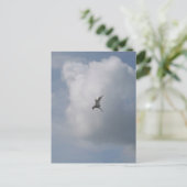 Tern in the Skyはがき ポストカード (スタンド正面)